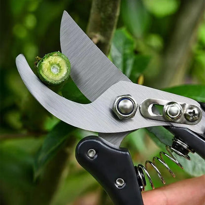 Pruning Scissor