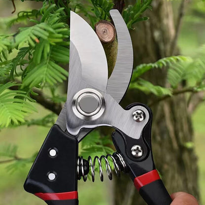 Pruning Scissor