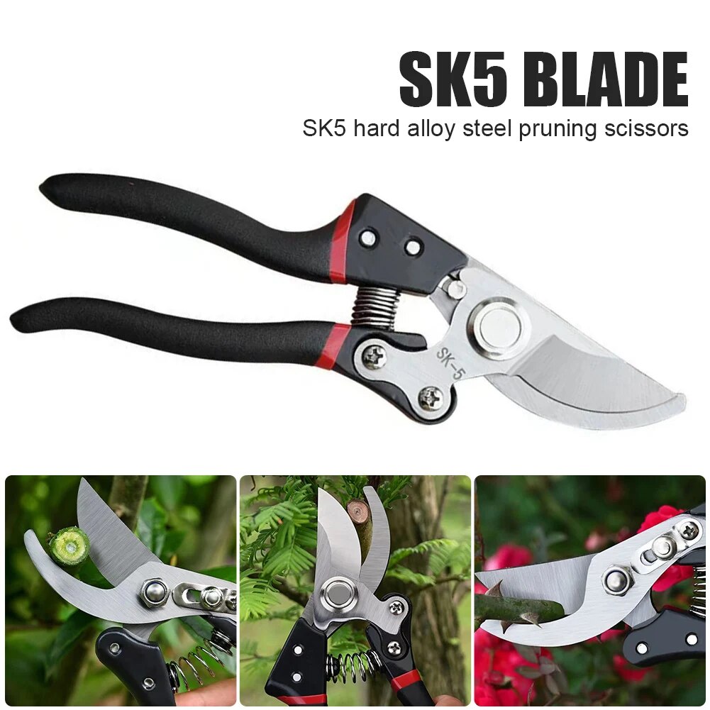 Pruning Scissor