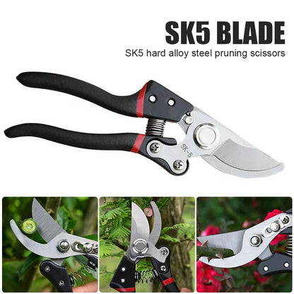 Pruning Scissor