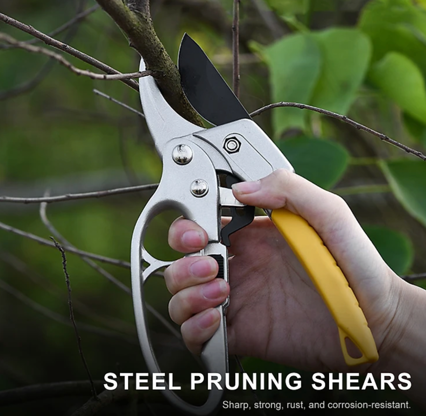 Pliers cut tree branches